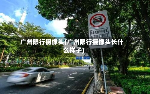 广州限行摄像头(广州限行摄像头长什么样子)-第3张图片