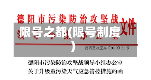限号之都(限号制度)