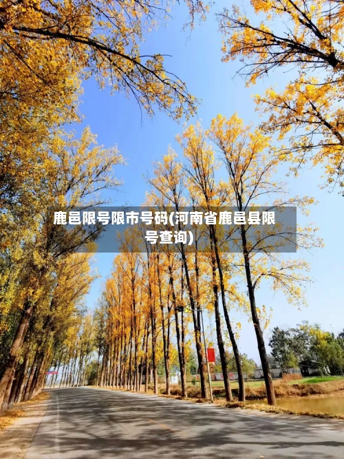 鹿邑限号限市号码(河南省鹿邑县限号查询)-第2张图片