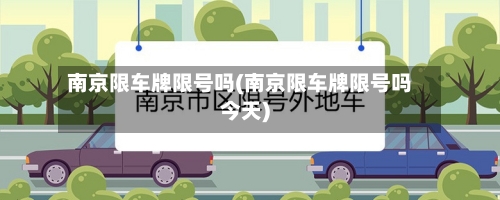 南京限车牌限号吗(南京限车牌限号吗今天)