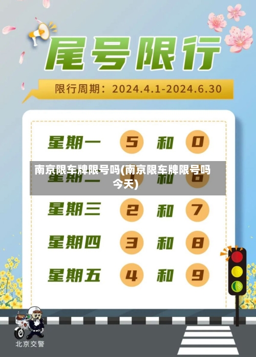 南京限车牌限号吗(南京限车牌限号吗今天)-第2张图片