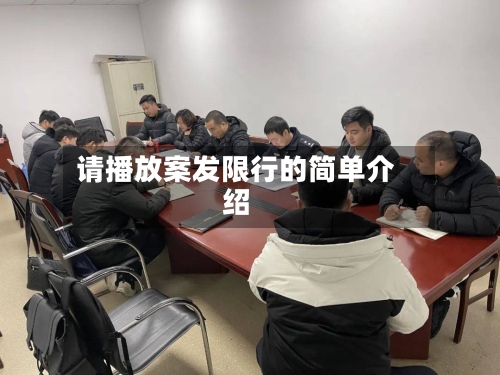 请播放案发限行的简单介绍-第2张图片