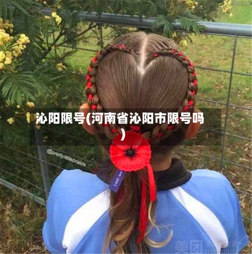 沁阳限号(河南省沁阳市限号吗)-第2张图片