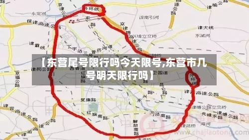 【东营尾号限行吗今天限号,东营市几号明天限行吗】-第3张图片
