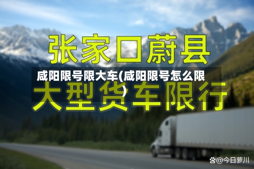 咸阳限号限大车(咸阳限号怎么限)