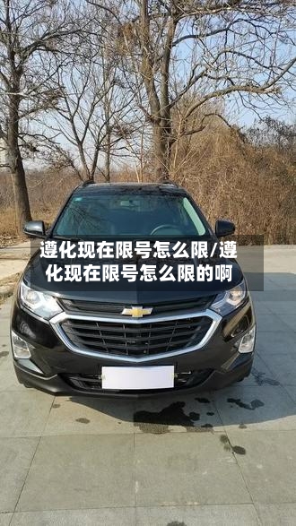 遵化现在限号怎么限/遵化现在限号怎么限的啊-第2张图片