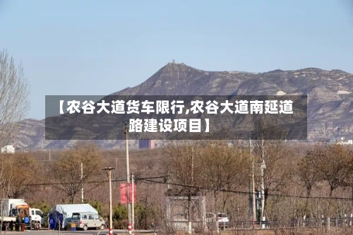 【农谷大道货车限行,农谷大道南延道路建设项目】-第3张图片