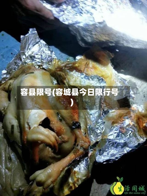 容县限号(容城县今日限行号)