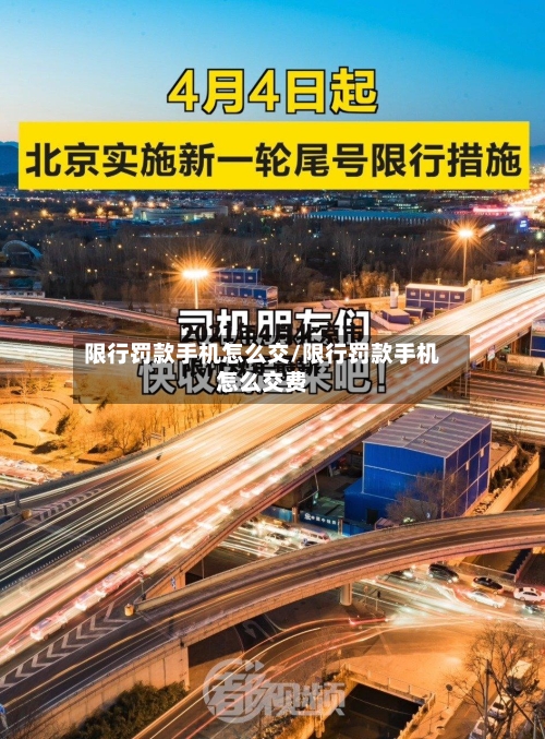 限行罚款手机怎么交/限行罚款手机怎么交费