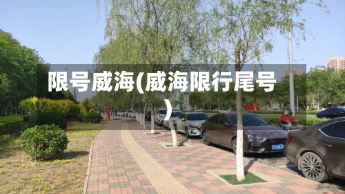 限号威海(威海限行尾号)-第2张图片