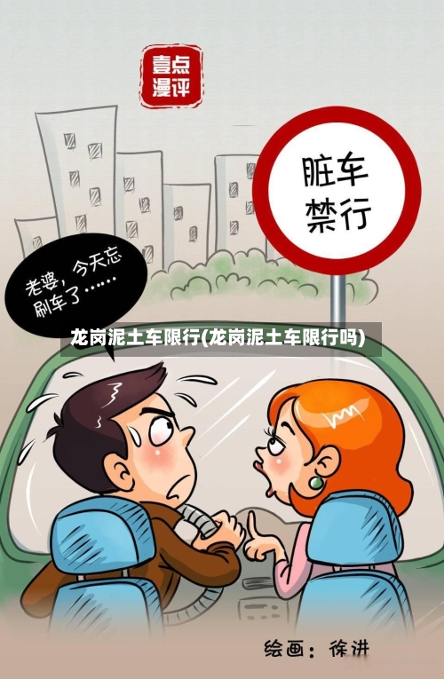 龙岗泥土车限行(龙岗泥土车限行吗)-第3张图片