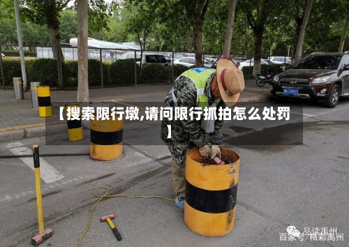 【搜索限行墩,请问限行抓拍怎么处罚】