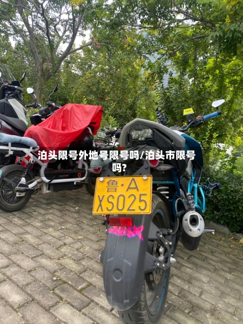泊头限号外地号限号吗/泊头市限号吗?-第2张图片