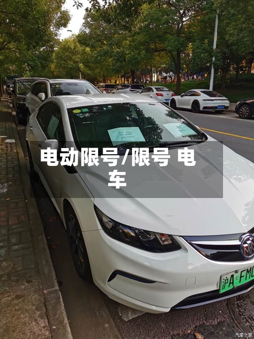 电动限号/限号 电车