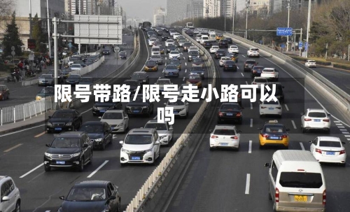 限号带路/限号走小路可以吗-第2张图片
