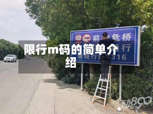 限行m码的简单介绍-第2张图片