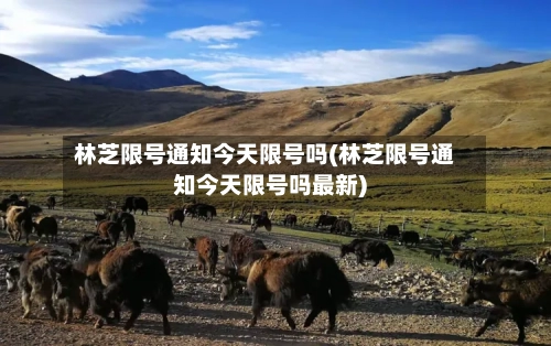 林芝限号通知今天限号吗(林芝限号通知今天限号吗最新)