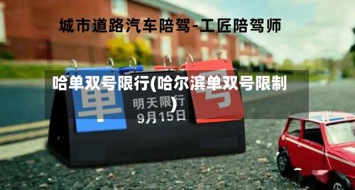 哈单双号限行(哈尔滨单双号限制)-第3张图片