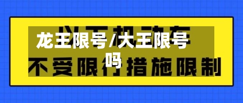 龙王限号/大王限号吗-第3张图片