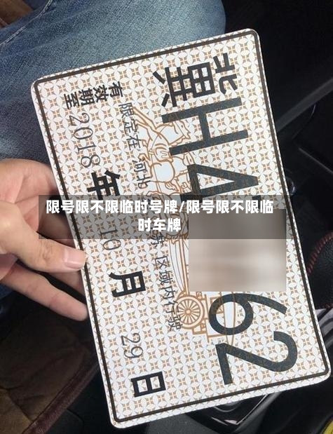 限号限不限临时号牌/限号限不限临时车牌