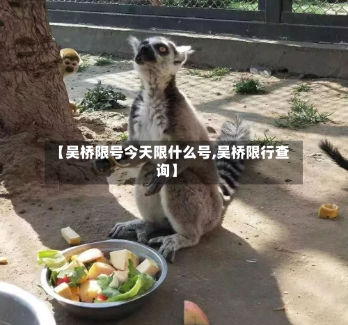 【吴桥限号今天限什么号,吴桥限行查询】-第3张图片