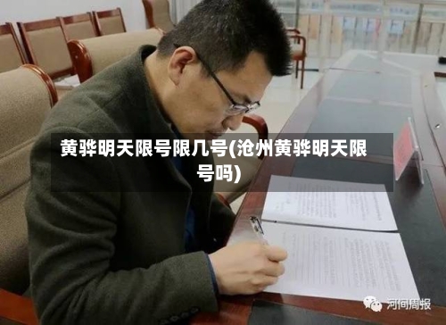 黄骅明天限号限几号(沧州黄骅明天限号吗)-第3张图片