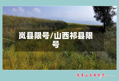 岚县限号/山西祁县限号