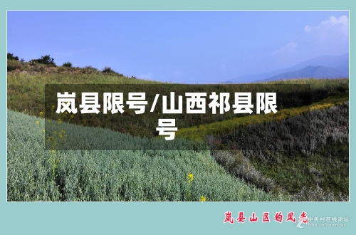 岚县限号/山西祁县限号-第2张图片