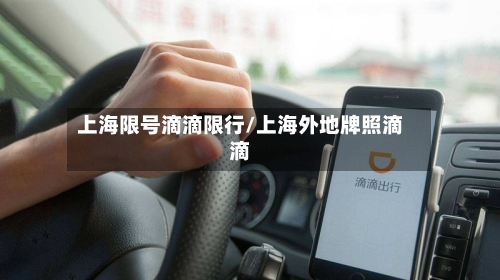 上海限号滴滴限行/上海外地牌照滴滴-第2张图片