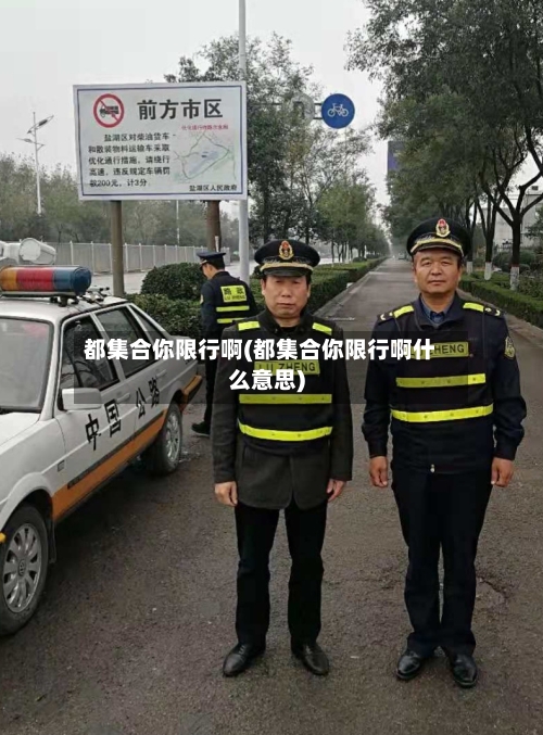 都集合你限行啊(都集合你限行啊什么意思)-第2张图片