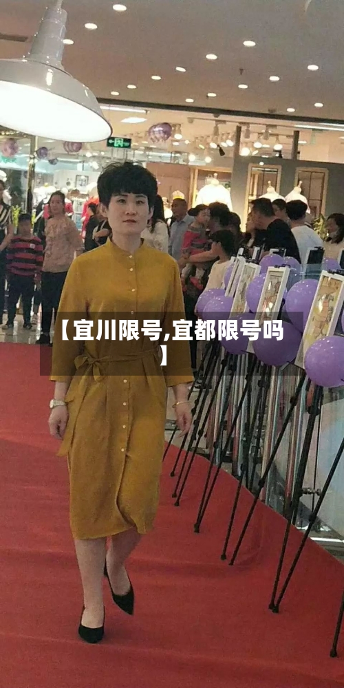 【宜川限号,宜都限号吗】