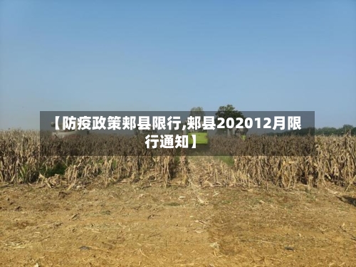 【防疫政策郏县限行,郏县202012月限行通知】