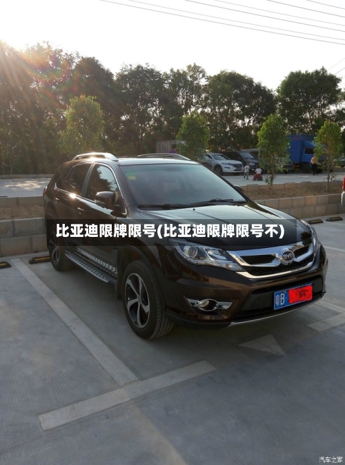 比亚迪限牌限号(比亚迪限牌限号不)