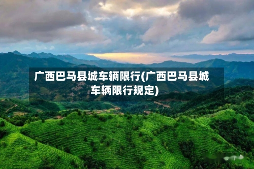 广西巴马县城车辆限行(广西巴马县城车辆限行规定)