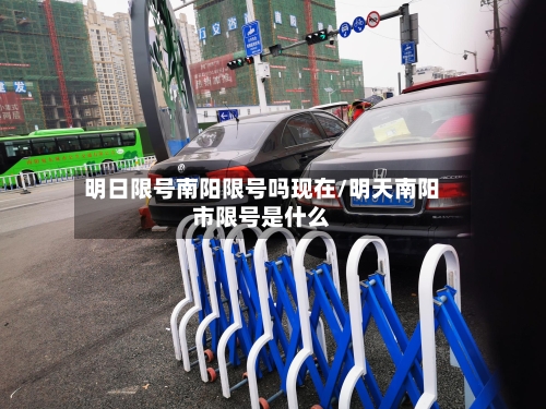 明日限号南阳限号吗现在/明天南阳市限号是什么-第2张图片