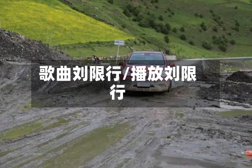 歌曲刘限行/播放刘限行-第3张图片