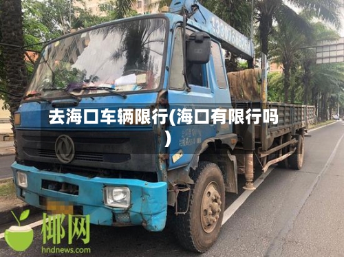 去海口车辆限行(海口有限行吗)-第3张图片