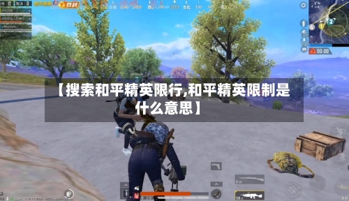 【搜索和平精英限行,和平精英限制是什么意思】-第2张图片