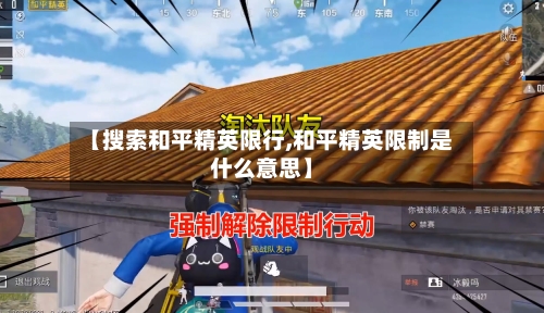 【搜索和平精英限行,和平精英限制是什么意思】