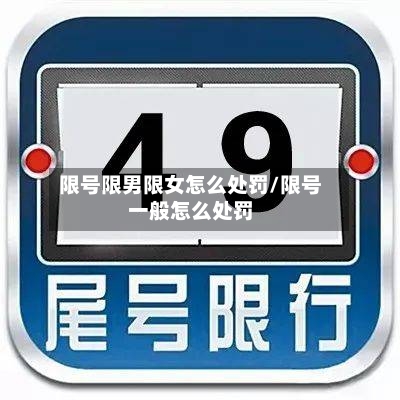 限号限男限女怎么处罚/限号一般怎么处罚-第2张图片