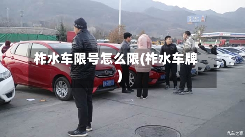 柞水车限号怎么限(柞水车牌)-第2张图片