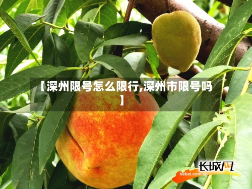 【深州限号怎么限行,深州市限号吗】