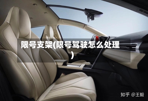 限号支架(限号驾驶怎么处理)-第3张图片