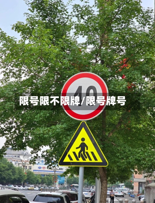 限号限不限牌/限号牌号