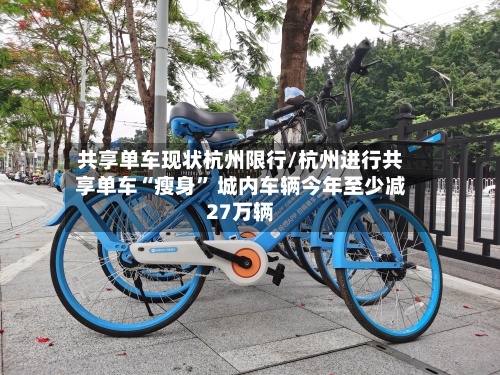 共享单车现状杭州限行/杭州进行共享单车“瘦身” 城内车辆今年至少减27万辆-第2张图片