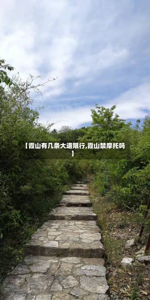 【霞山有几条大道限行,霞山禁摩托吗】