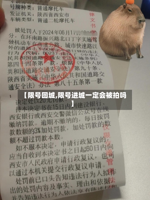 【限号回城,限号进城一定会被拍吗】-第2张图片