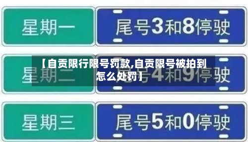【自贡限行限号罚款,自贡限号被拍到怎么处罚】-第3张图片