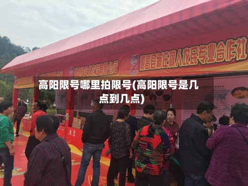 高阳限号哪里拍限号(高阳限号是几点到几点)-第2张图片
