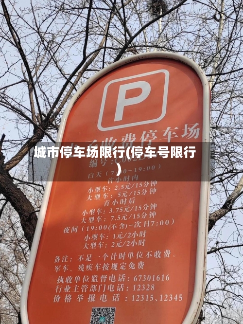 城市停车场限行(停车号限行)-第3张图片